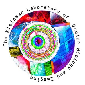 featured-logo-layout